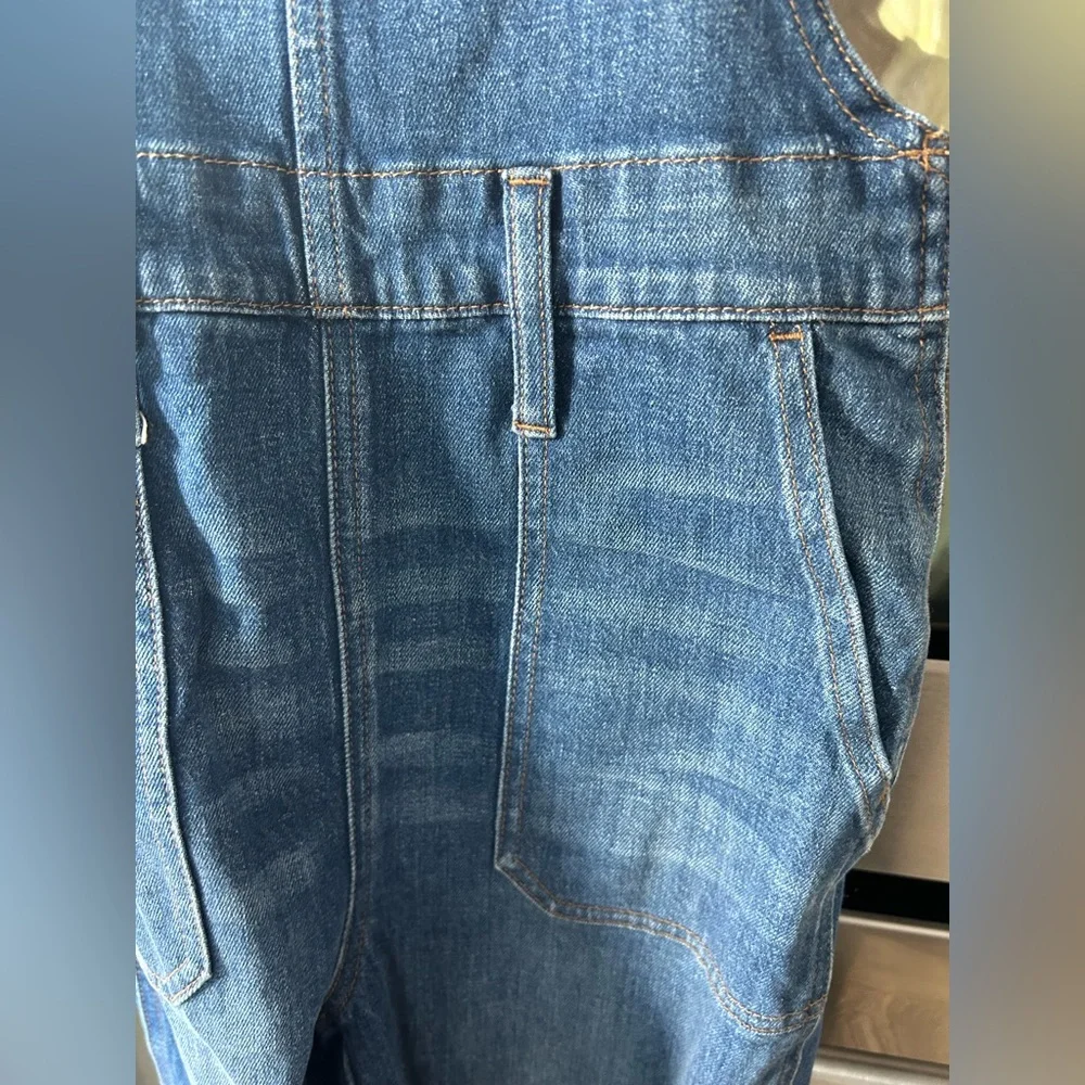 Madewell Skinny Overalls in Jansing Wash - Picture 7 of 9